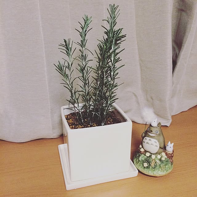 yukimichiさんの実例写真