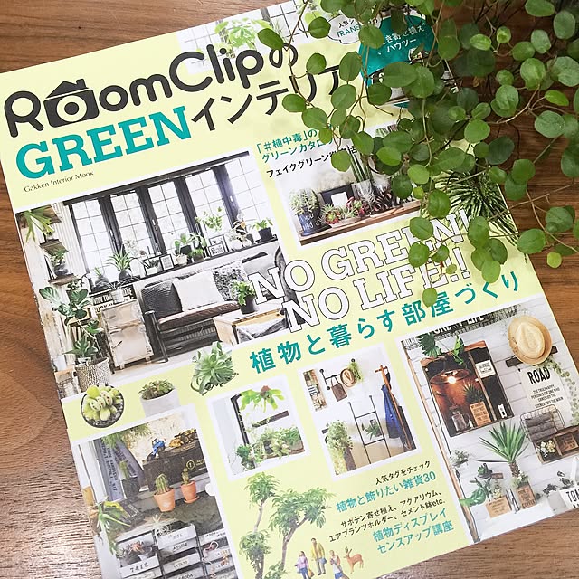 kiki_nekkoさんの実例写真