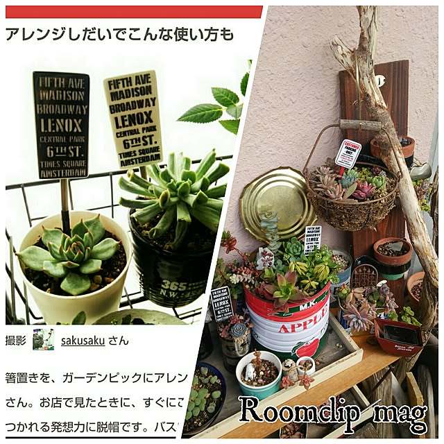 sakusakuさんの実例写真