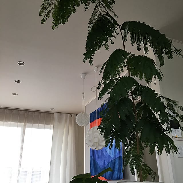 tomoyukiさんの実例写真