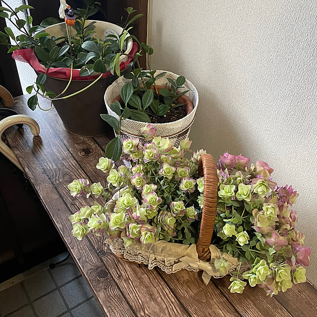 ronronさんの部屋