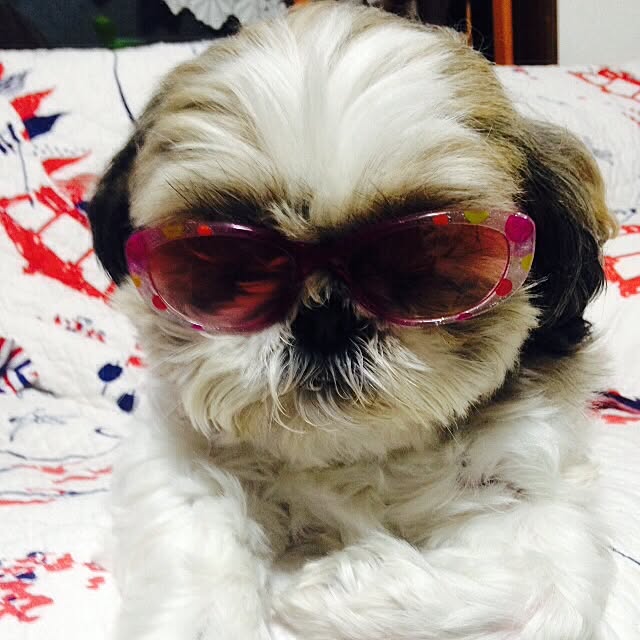 pepeさんの実例写真