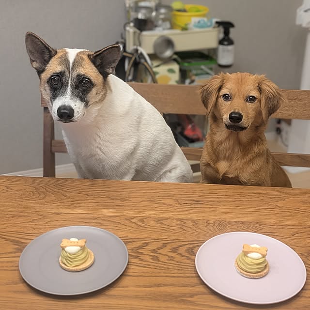kaiさんの実例写真