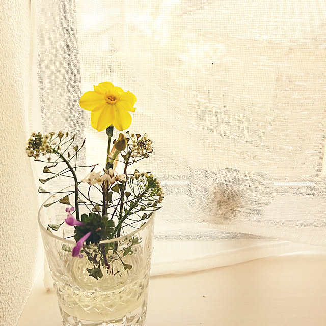 キッチンのインテリア実例 - 2019-03-09 13:06:49