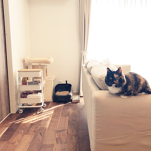 kyoro_homeさんの実例写真