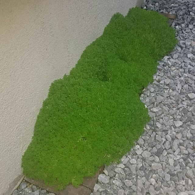 hideさんの実例写真