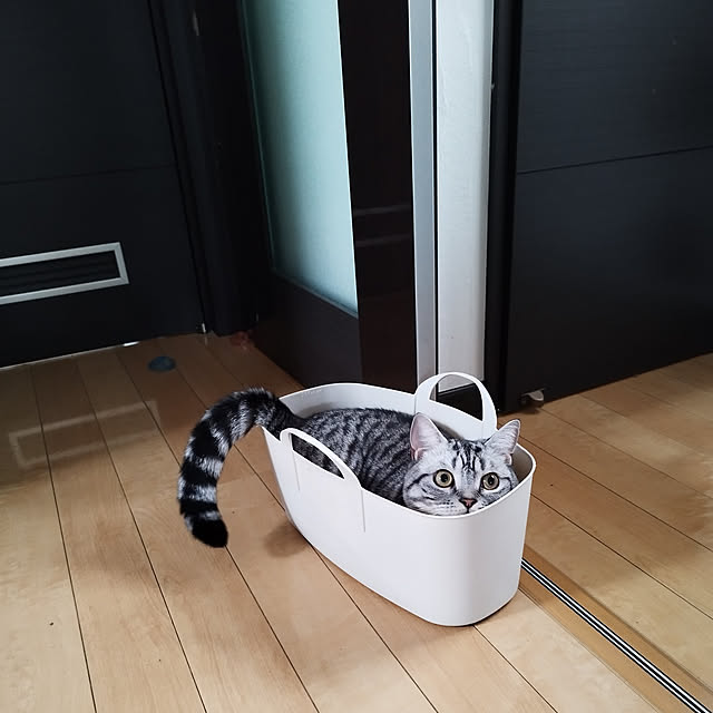 hiro3さんの実例写真