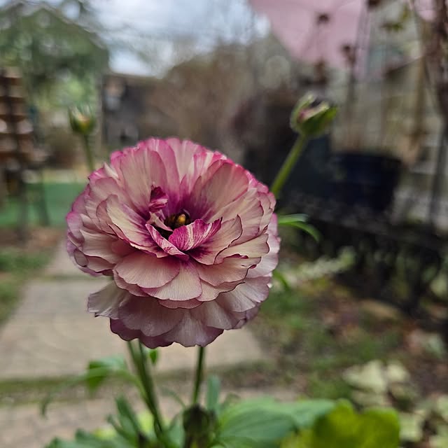 min_nimさんの実例写真