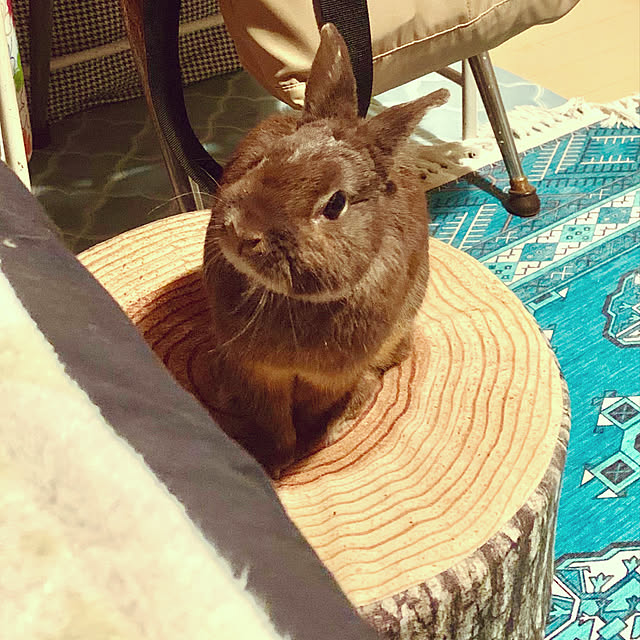 mo-nosukeさんの実例写真