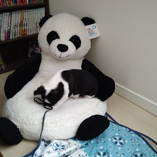 kaorさんの実例写真