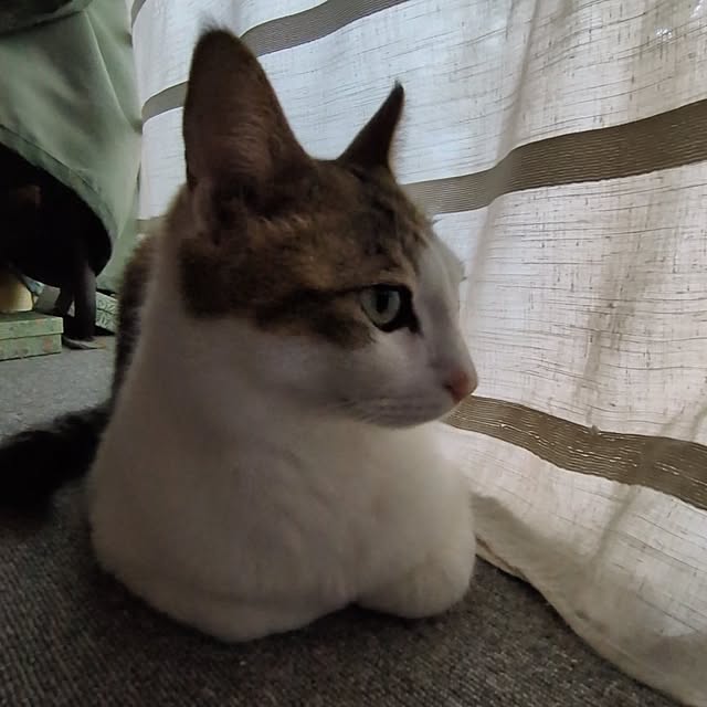 mori_6_12さんの部屋