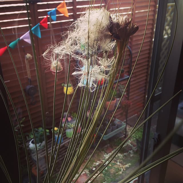 irielifeさんの実例写真