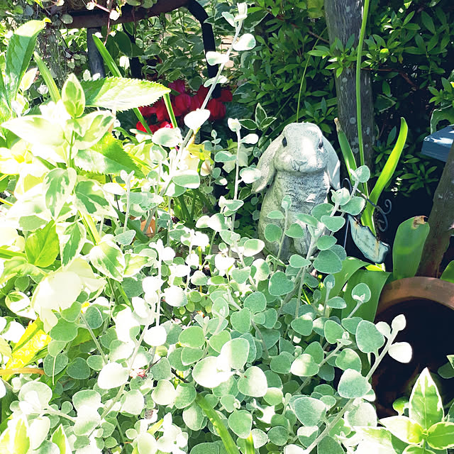 min_nimさんの実例写真
