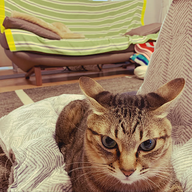 yukichi801さんの実例写真