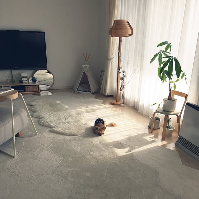 haruhinaさんの実例写真