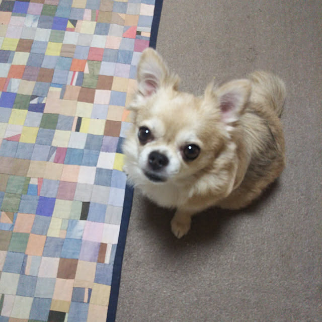 kiraさんの実例写真