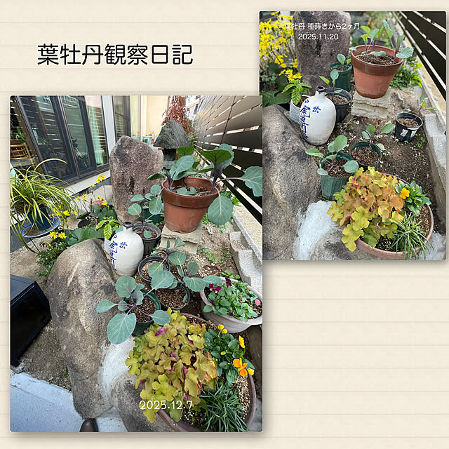 buchiさんの部屋