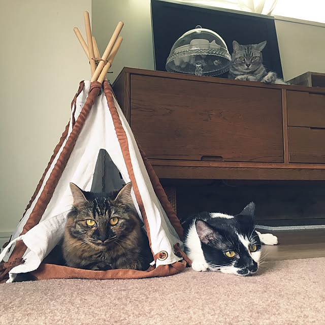 mikomaruさんの実例写真