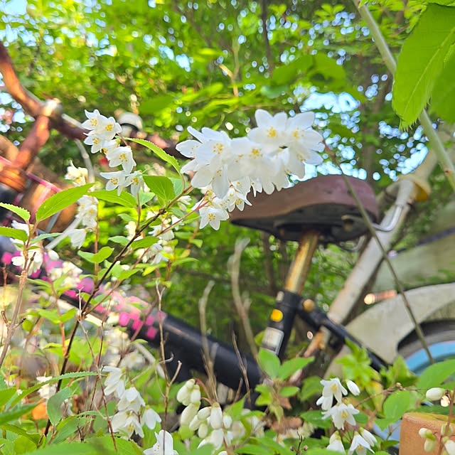 min_nimさんの部屋