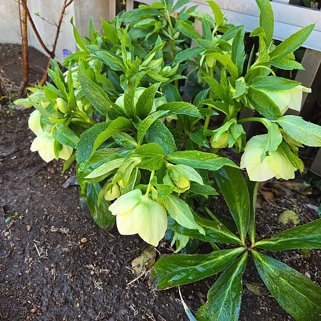 mutyukingさんの部屋