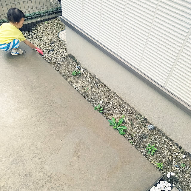 kodaminさんの実例写真