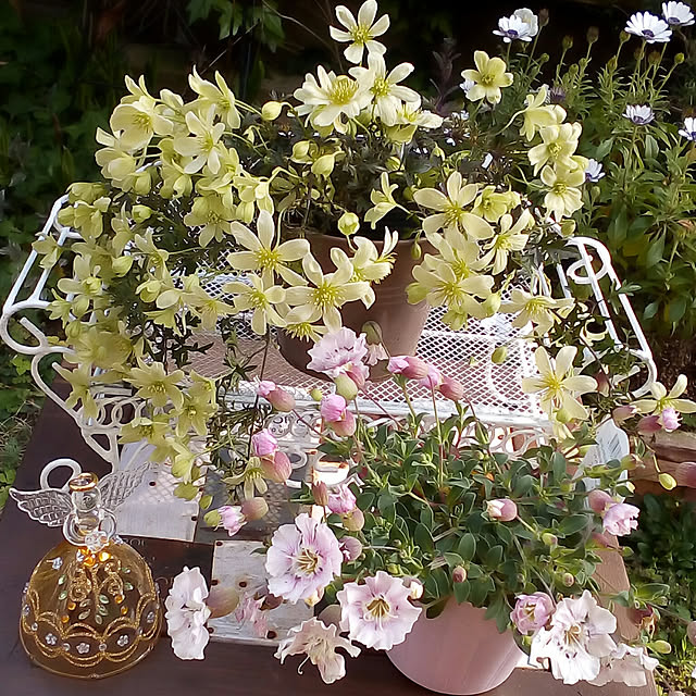 mariagardenさんの実例写真