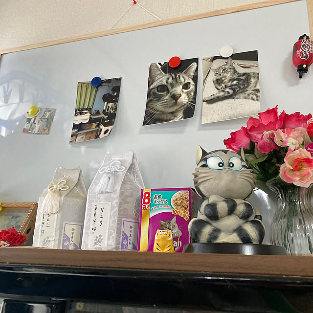 zabonzabonさんの部屋