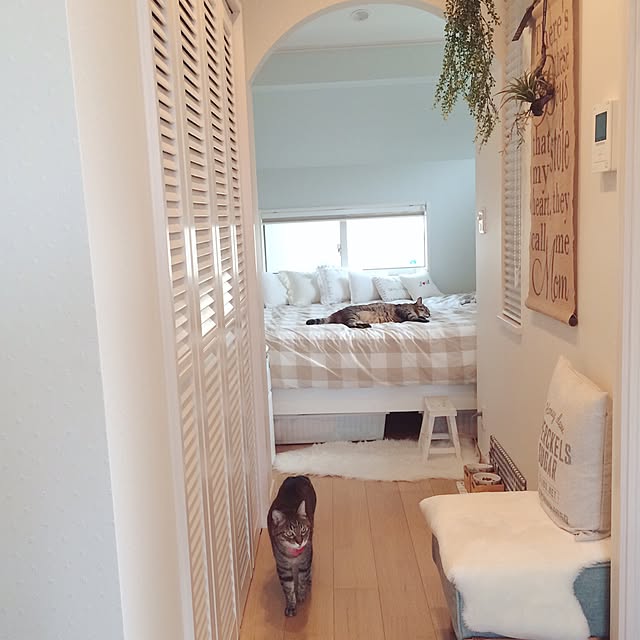 lovecatさんの実例写真
