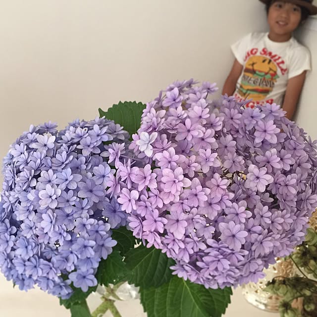MIKIMIKI...さんの実例写真