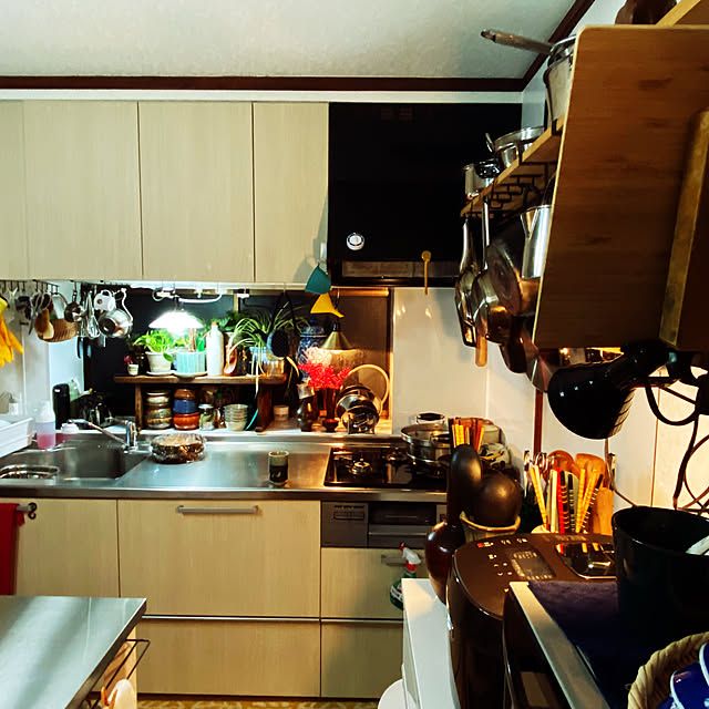 nomaooyaさんの部屋