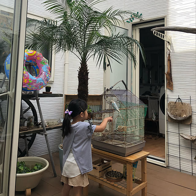 Yukoさんの実例写真