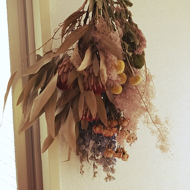 ponchu37さんの実例写真