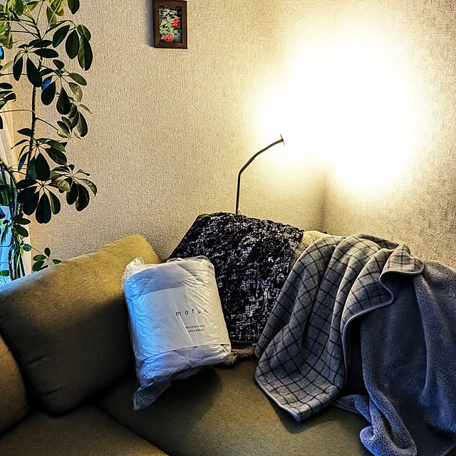 mofukoさんの実例写真