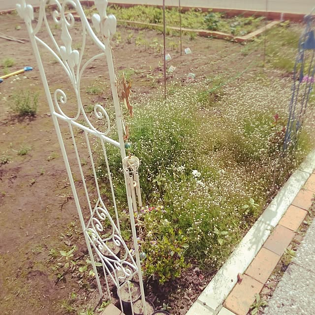 Shimaさんの実例写真