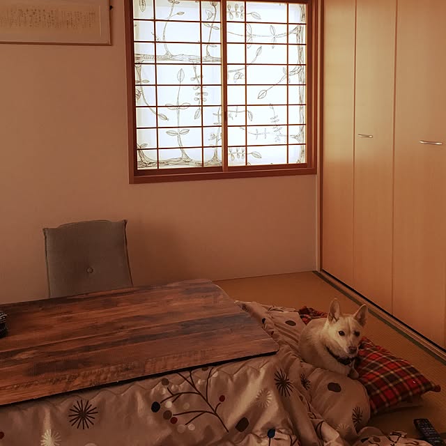 kouさんの実例写真