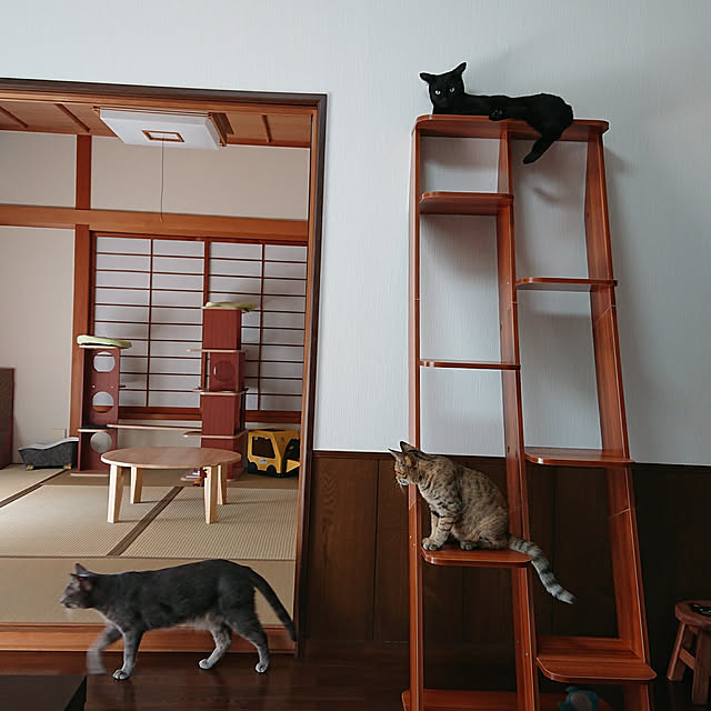 tsukushiさんの実例写真