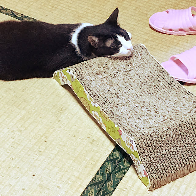 brbrnknkさんの実例写真