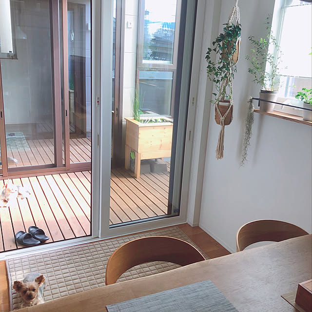 makiさんの実例写真