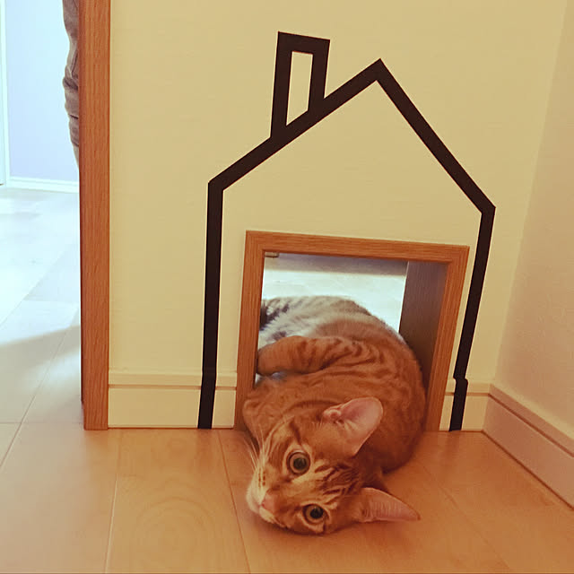 kichiさんの実例写真