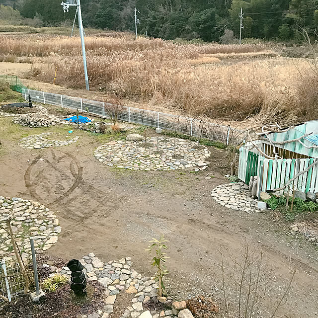 pepeさんの実例写真