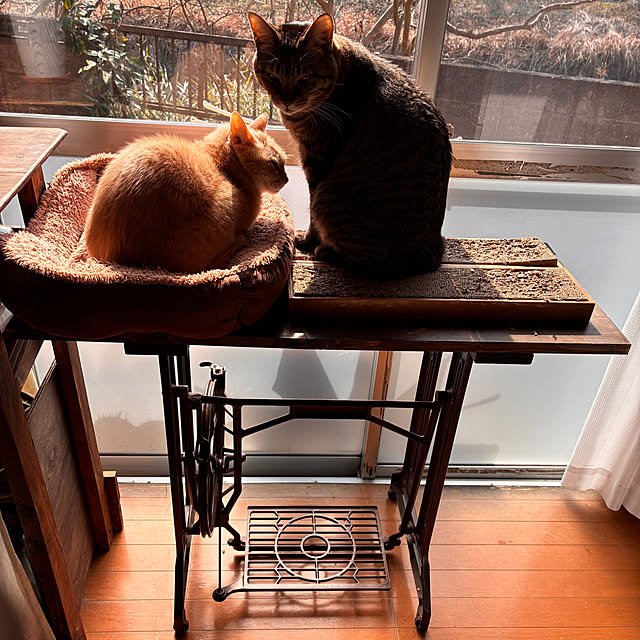 mikan161さんの実例写真