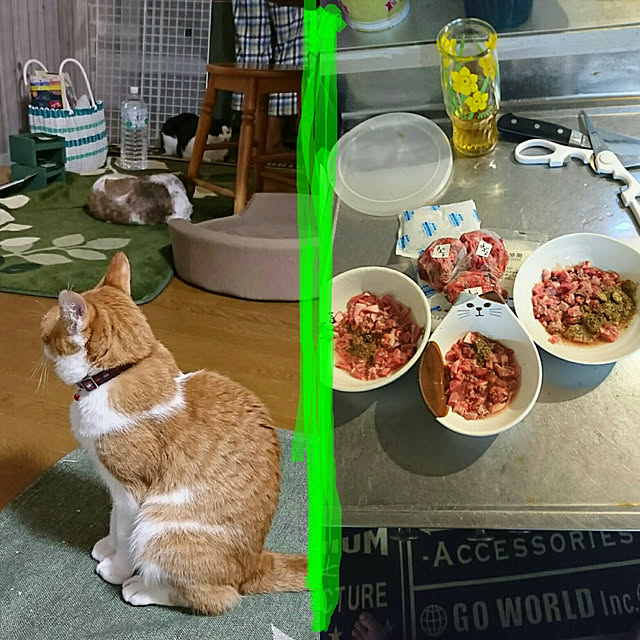 SHIHOさんの実例写真