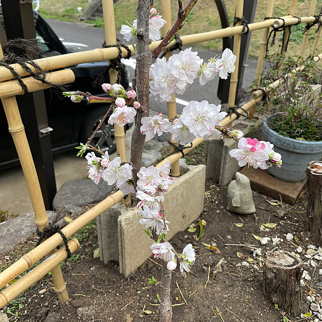 shin0719さんの部屋