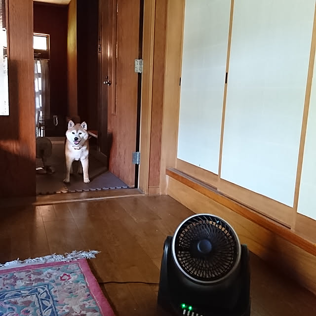 noripopさんの実例写真