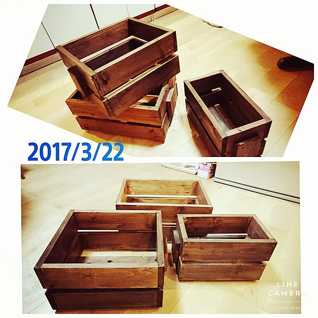 Toraziさんの実例写真