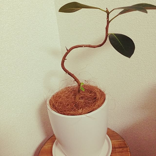 nana5さんの実例写真