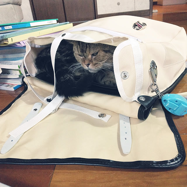 annさんの実例写真