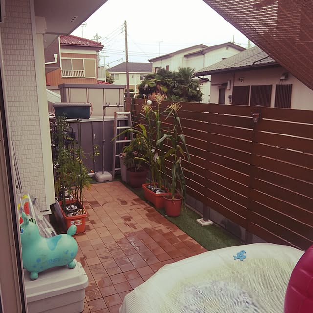 Yuuさんの実例写真