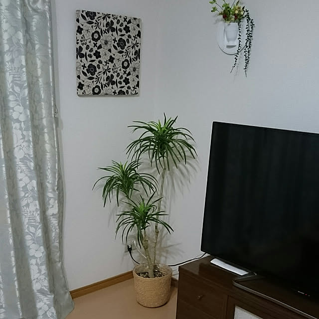 annさんの実例写真