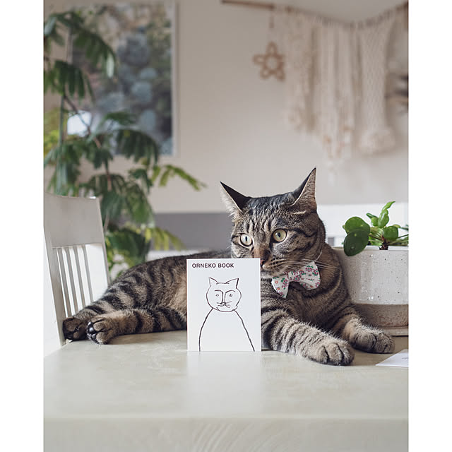 oliveさんの実例写真